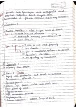 Human physiology class 11 notes - Image 100