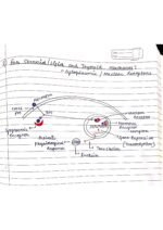 Human physiology class 11 notes - Image 104