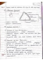 Human physiology class 11 notes - Image 97