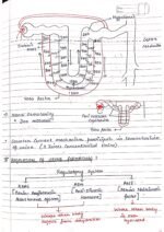 Human physiology class 11 notes - Image 51