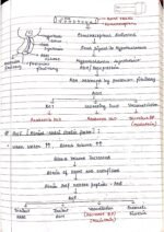 Human physiology class 11 notes - Image 53
