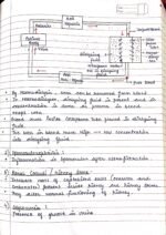 Human physiology class 11 notes - Image 55