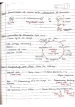 Human physiology class 11 notes - Image 41