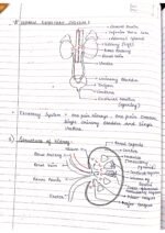 Human physiology class 11 notes - Image 42