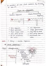 Human physiology class 11 notes - Image 48