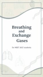 Breathing and exchange of gases Notes
