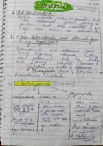Biomolecule class 11 - Image 2