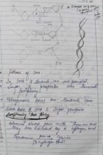 Biomolecule class 11 - Image 3