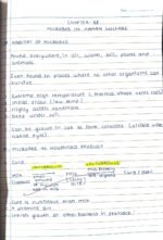 Class 12 biology chapter 8 microbes in human welfare notes handwritten