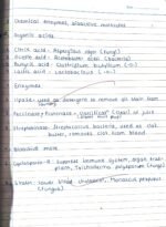 Class 12 biology chapter 8 microbes in human welfare notes handwritten - Image 3
