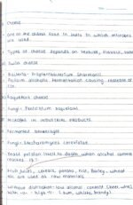 Class 12 biology chapter 8 microbes in human welfare notes handwritten - Image 5