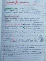 Zoology notes - Image 2