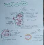Zoology notes - Image 4