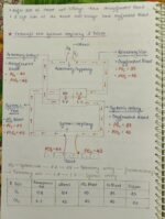 Breathing and exchange of gases Notes - Image 3