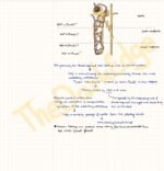 Excretory Products & Their Elimination: Full Chapter Premium Notes (NCERT Made Easy) - Image 3