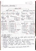 Human physiology class 11 notes - Image 67