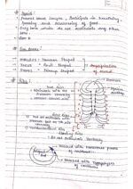 Human physiology class 11 notes - Image 68