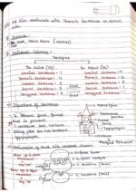 Human physiology class 11 notes - Image 69