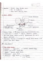 Human physiology class 11 notes - Image 71
