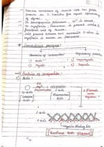 Human physiology class 11 notes - Image 60
