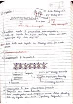 Human physiology class 11 notes - Image 61