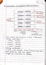 Human physiology class 11 notes - Image 62