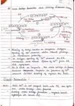 Human physiology class 11 notes - Image 64