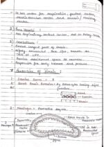 Human physiology class 11 notes - Image 88