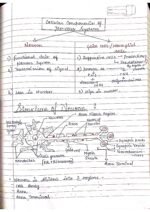 Human physiology class 11 notes - Image 79