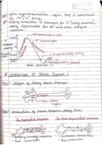 Human physiology class 11 notes - Image 83