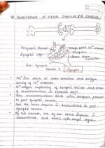 Human physiology class 11 notes - Image 84