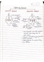 Human physiology class 11 notes - Image 85