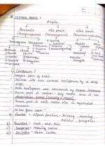 Human physiology class 11 notes - Image 86