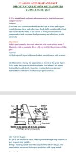 Class 10 Chemistry – Acids, Bases & Salts Important Questions with Answers (2027 Board Exam) - Image 2
