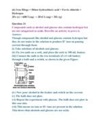 Class 10 Chemistry – Acids, Bases & Salts Important Questions with Answers (2027 Board Exam) - Image 4