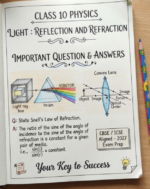 Light: Reflection and Refraction Class 10 Important Exam Question and solutions CBSE and ICSE