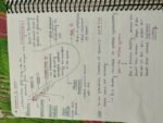 Neet biology notes of reproduction in humans - Image 4