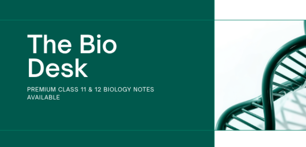 The Bio Desk