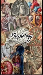 Human physiology class 11 notes