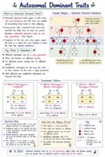 Pedigree Analysis and its Application - Image 2