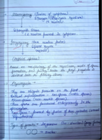 CLASS 11 BIOLOGY BIOLOGICAL CLASSIFICATION - Image 2