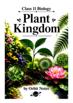 CLASS 11 PLANT KINGDOM