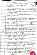 Class 12 macroeconomics. Foreign exchange rate