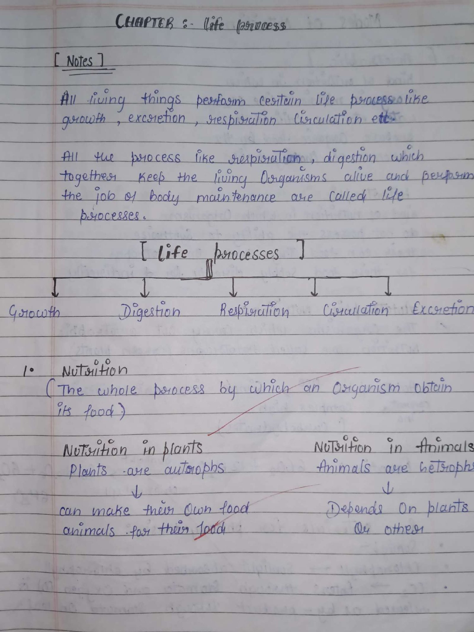 2026-10-05 19-58-18_compressed Class 10 Science notes Life process (cbsc) - Image 1