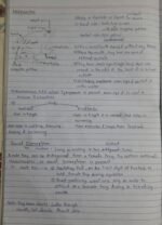 Frog - Image 2