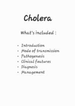 Cholera | Medical Notes