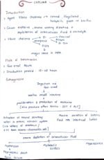 Cholera | Medical Notes - Image 2