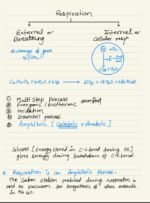 RESPIRATION IN PLANTS - Image 2