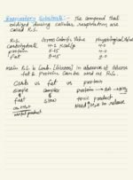 RESPIRATION IN PLANTS - Image 3