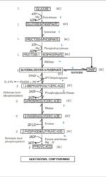 RESPIRATION IN PLANTS - Image 6